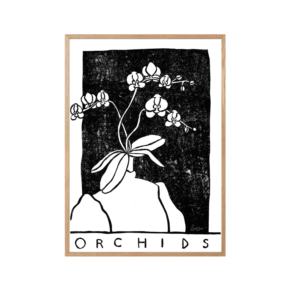 Orchids in Black and White - Print