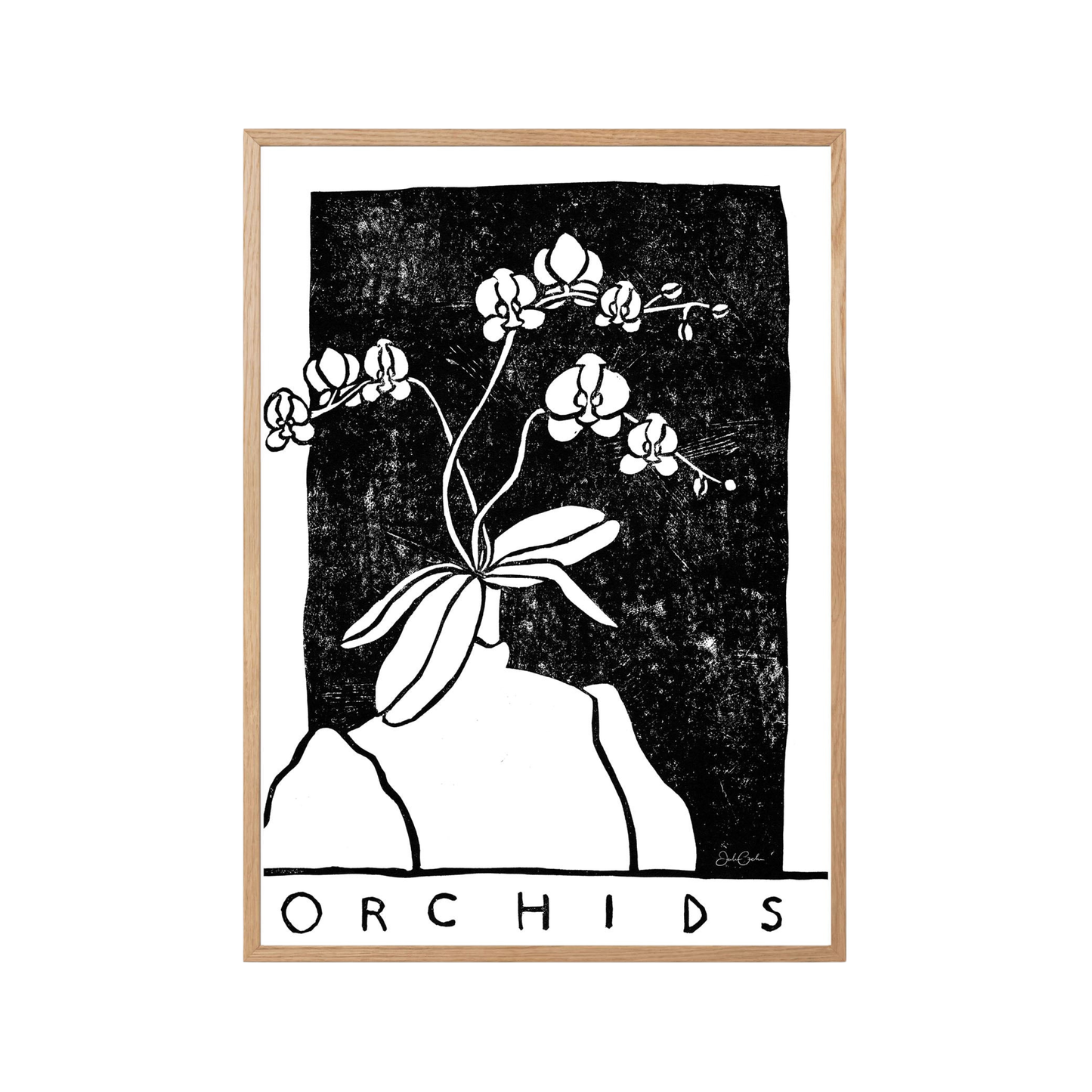 Orchids in Black and White - Print