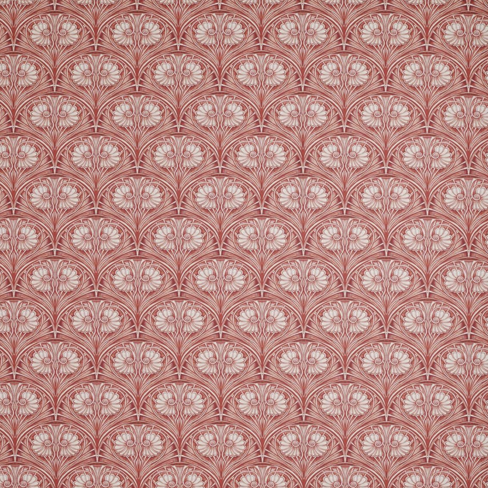 Loulou Rose Wallpaper