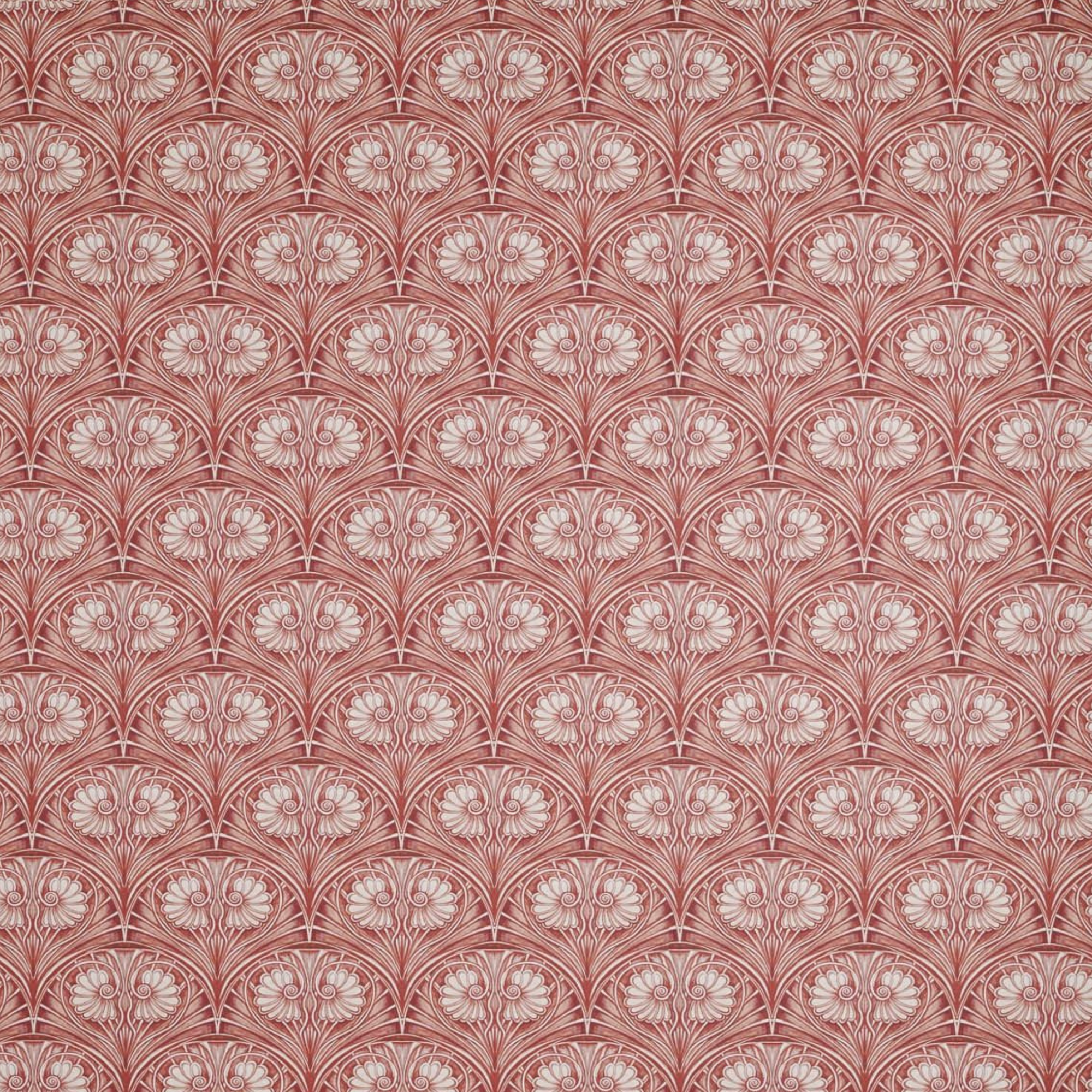 Loulou Rose Wallpaper