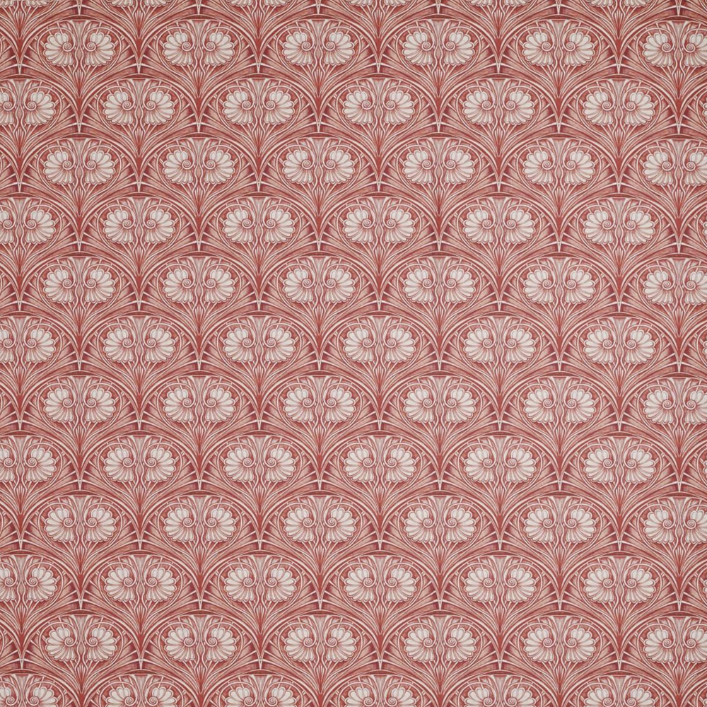 Loulou Rose Wallpaper