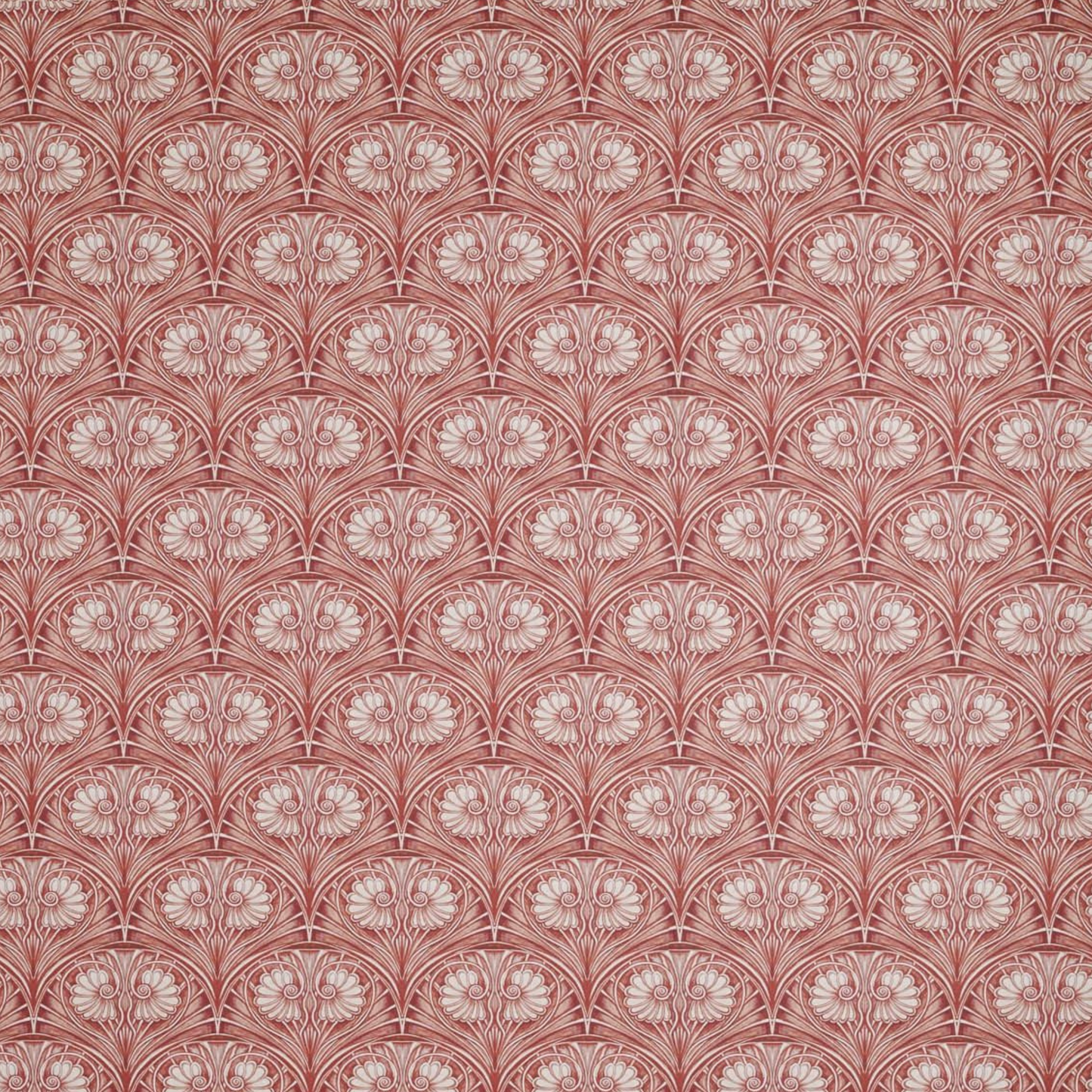 Loulou Rose Wallpaper