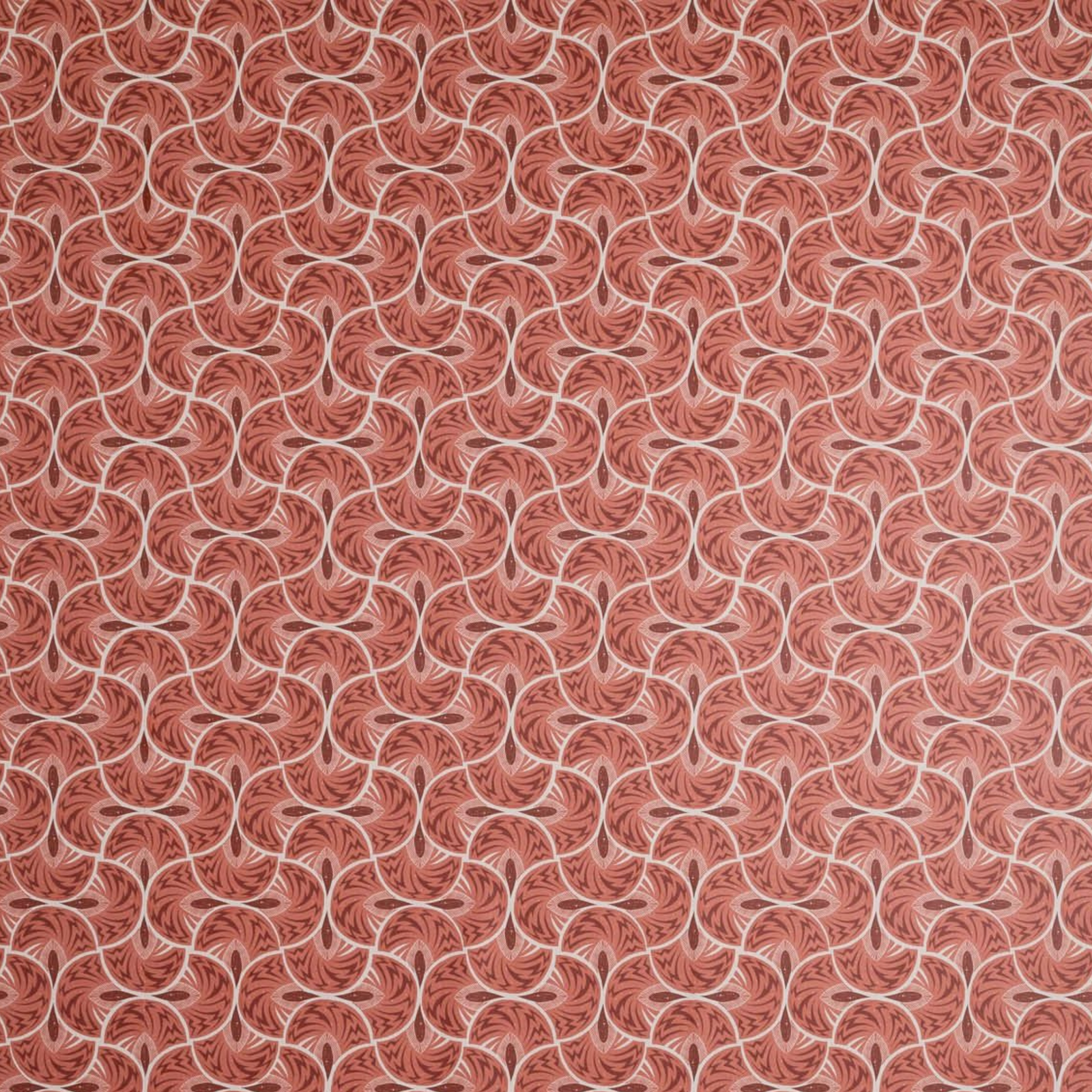 Jazz Coral Wallpaper