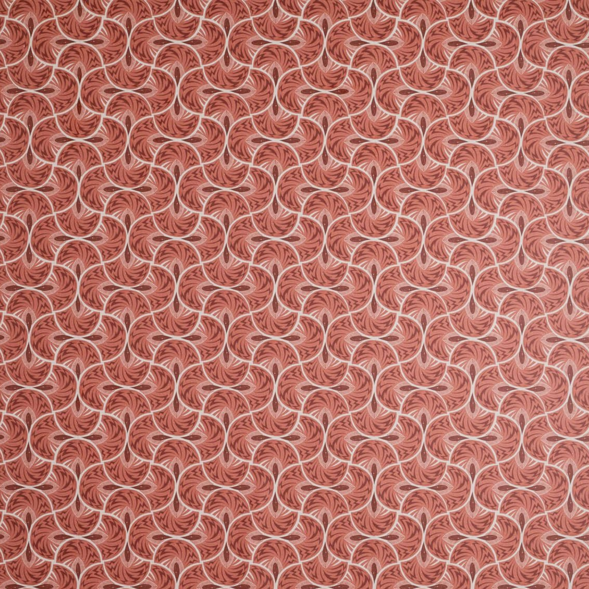 Jazz Coral Wallpaper