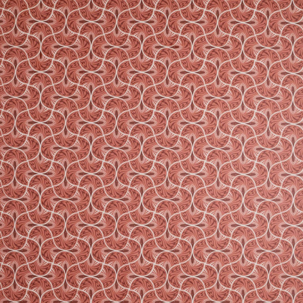 Jazz Coral Wallpaper