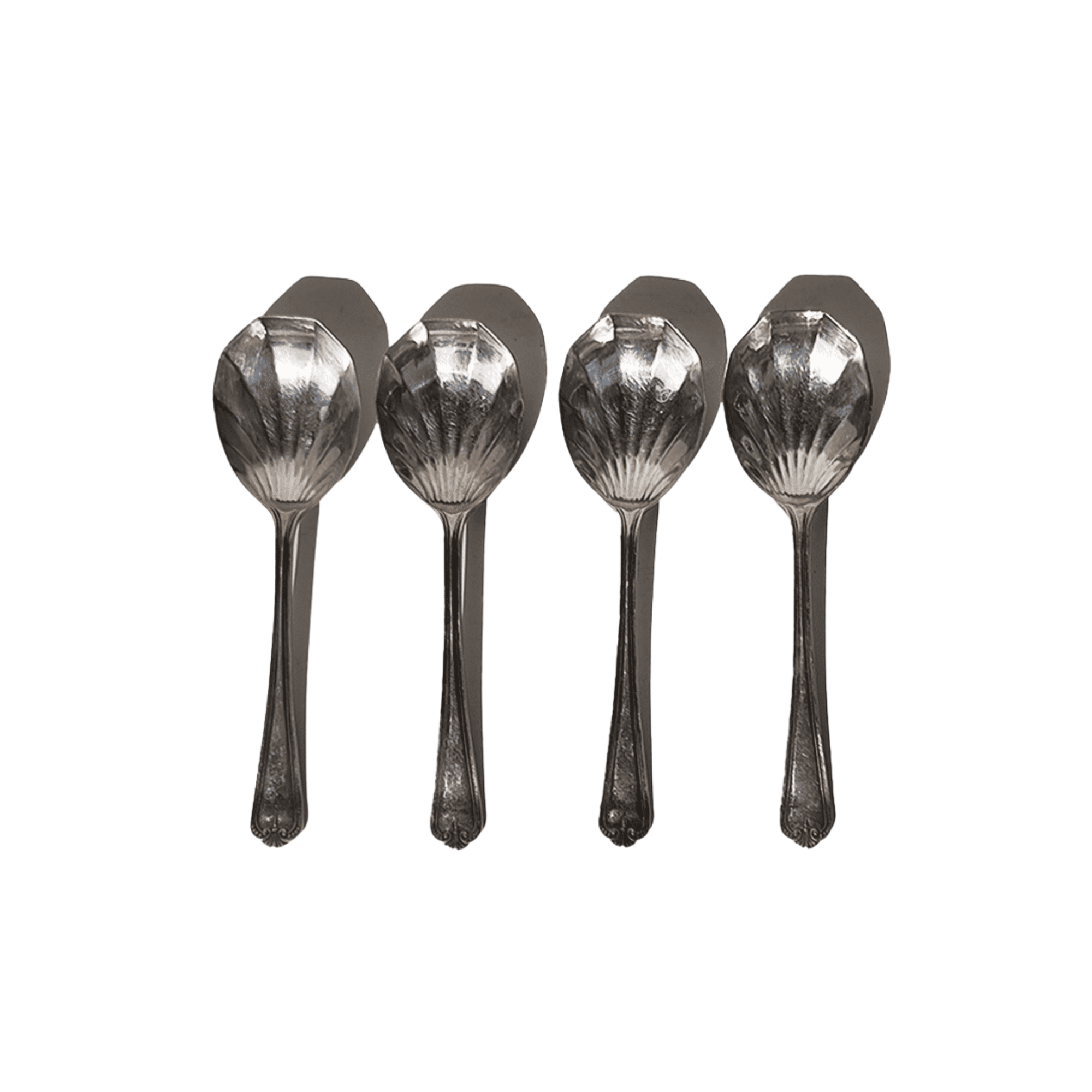 Set of 4 Shell Spoons