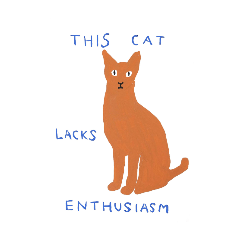 "This Cat Lacks Enthusiasm" Art Print