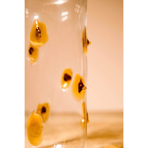 Yellow prickly Glasses (set of 4)