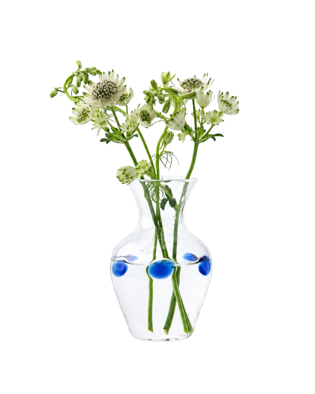Cornflower Bud Vase Small Garden Flowers Issy Granger