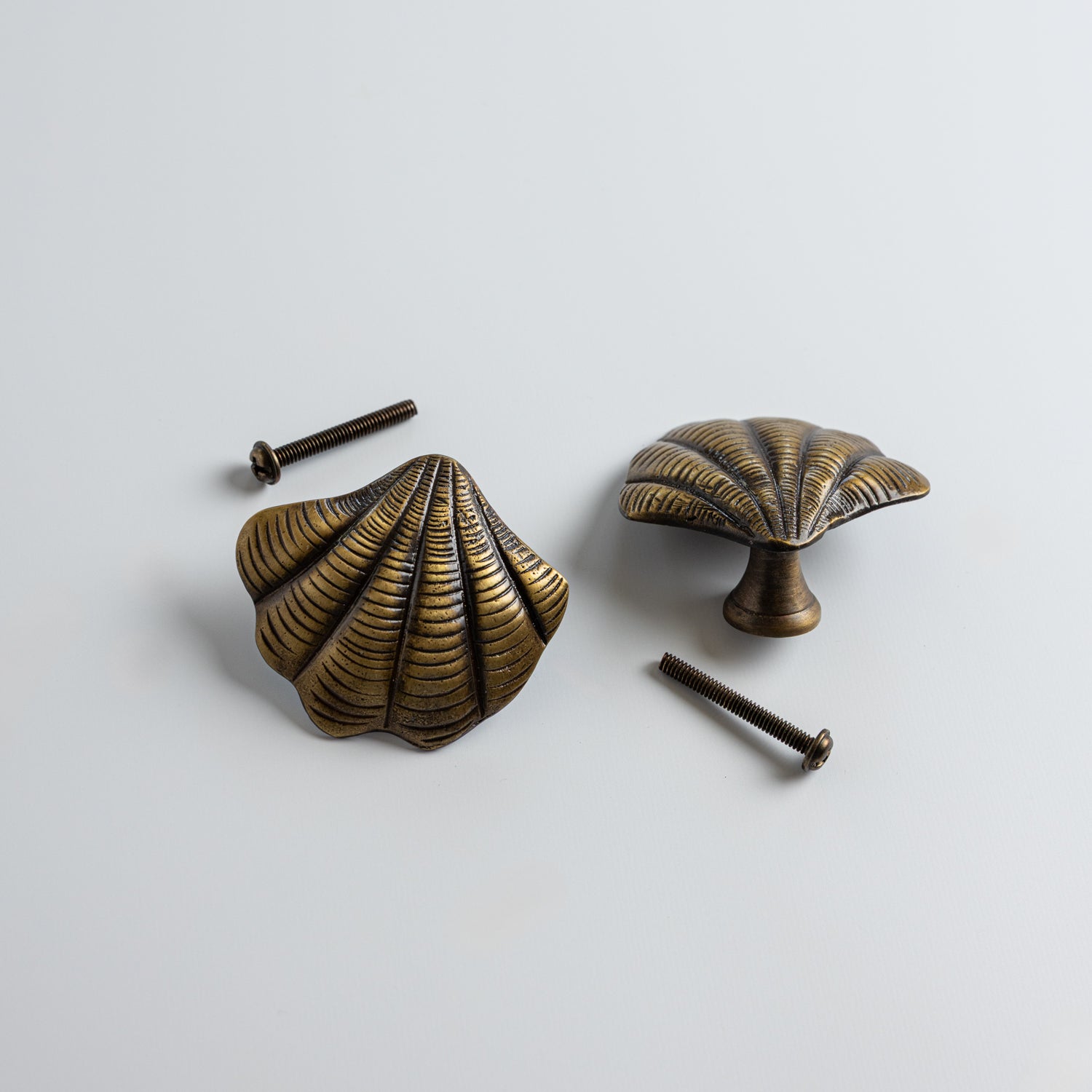 Curved Shell Knob, Anqtiue  Brass