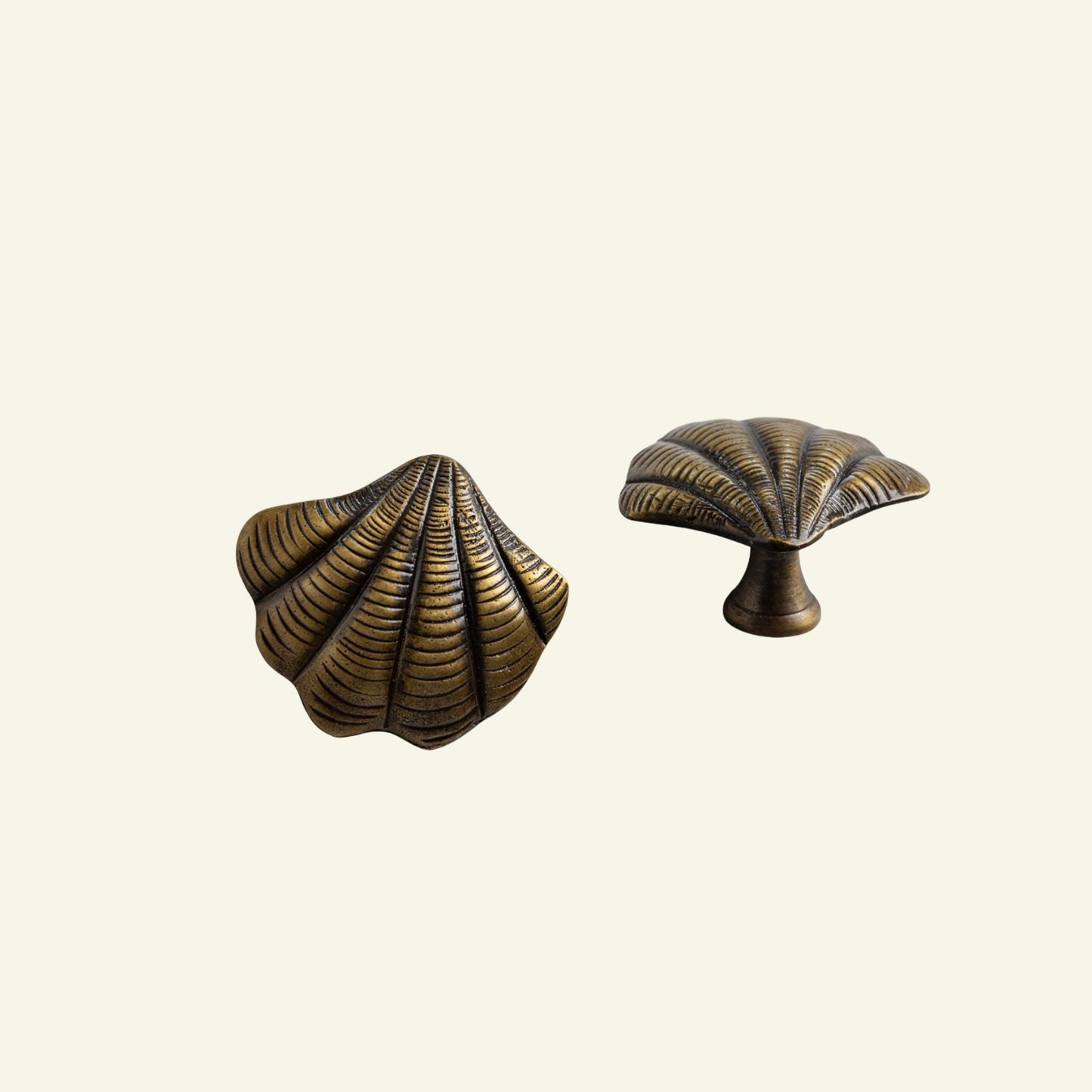 Curved Shell Knob, Anqtiue  Brass