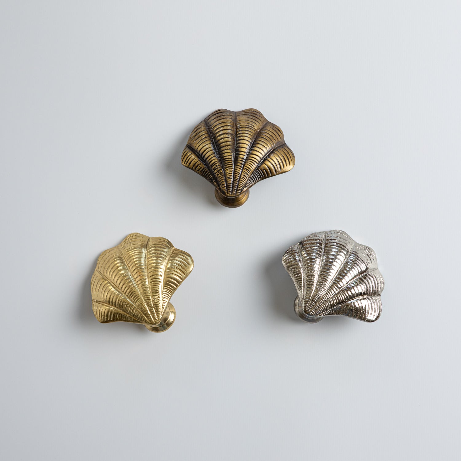 Curved Shell Knob, Lacquered Brass