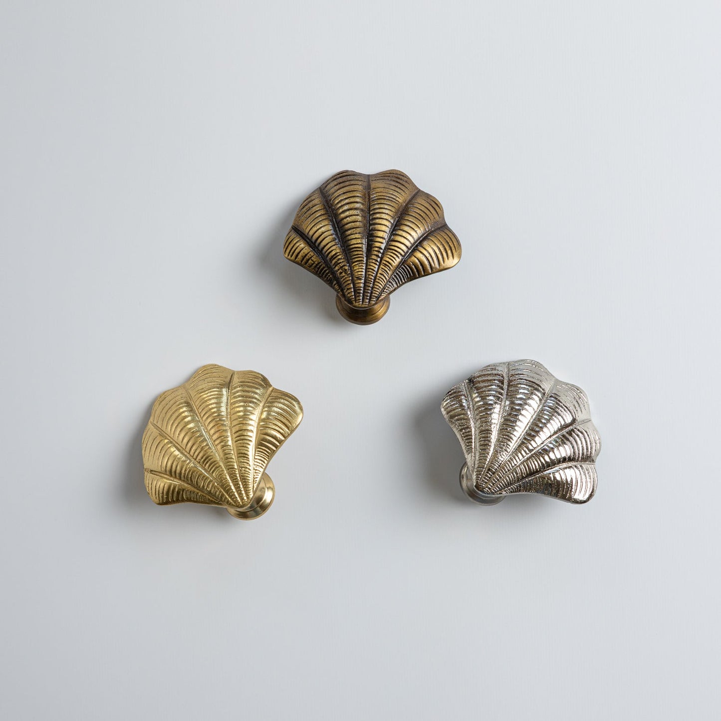 Curved Shell Knob, Lacquered Brass