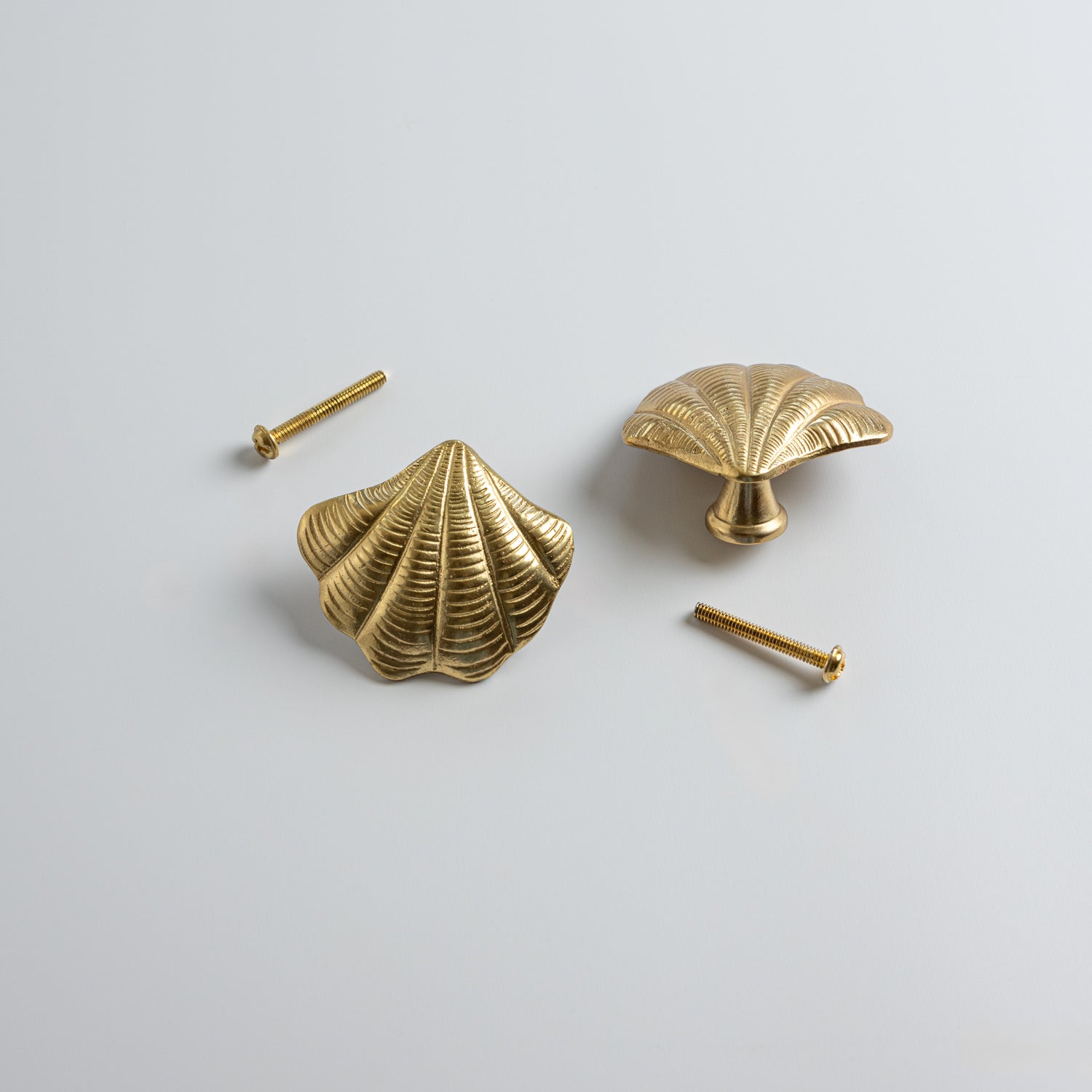 Curved Shell Knob, Lacquered Brass