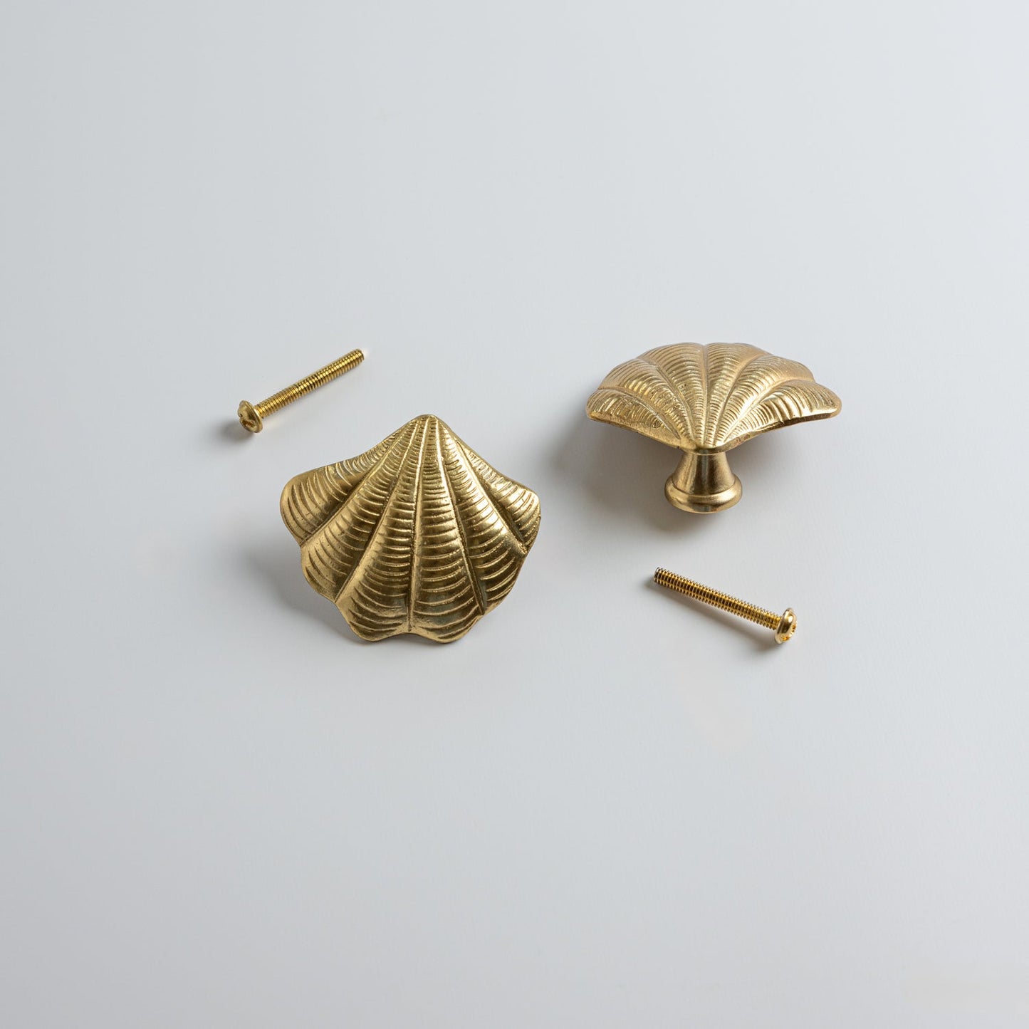 Curved Shell Knob, Lacquered Brass