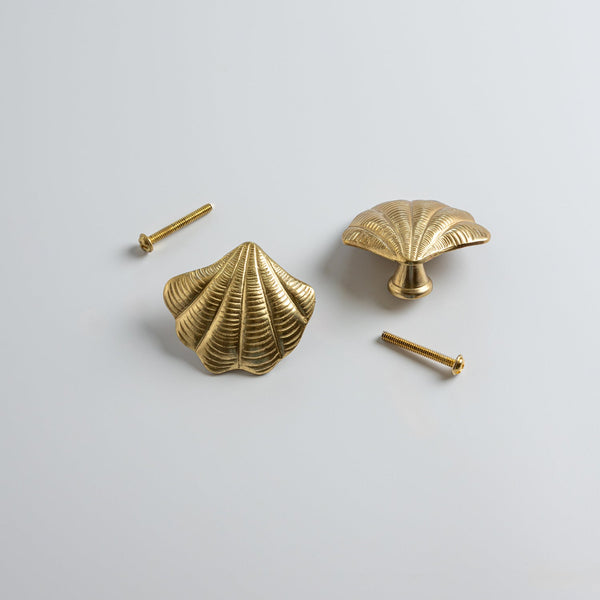 Curved Shell Knob, Lacquered Brass