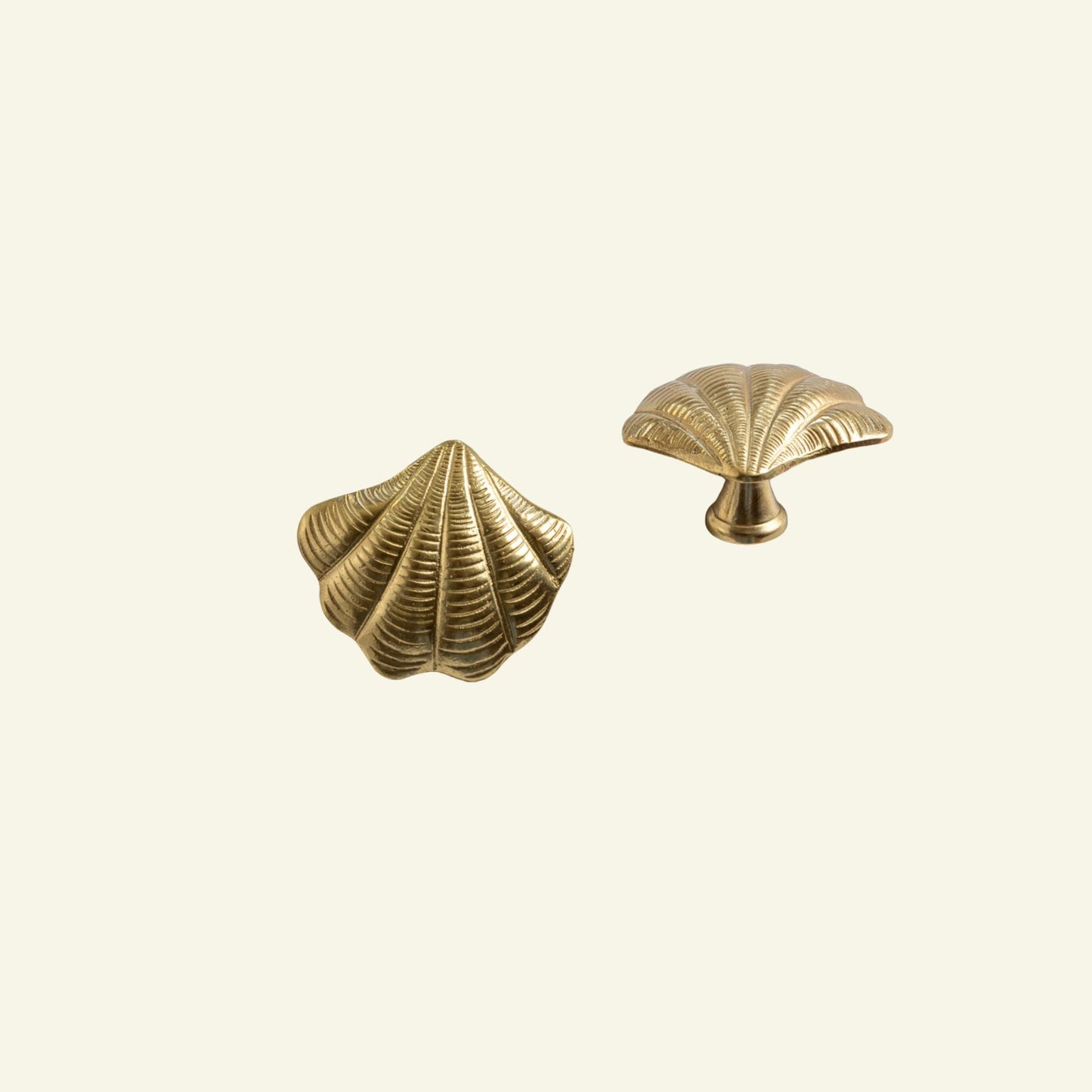 Curved Shell Knob, Lacquered Brass