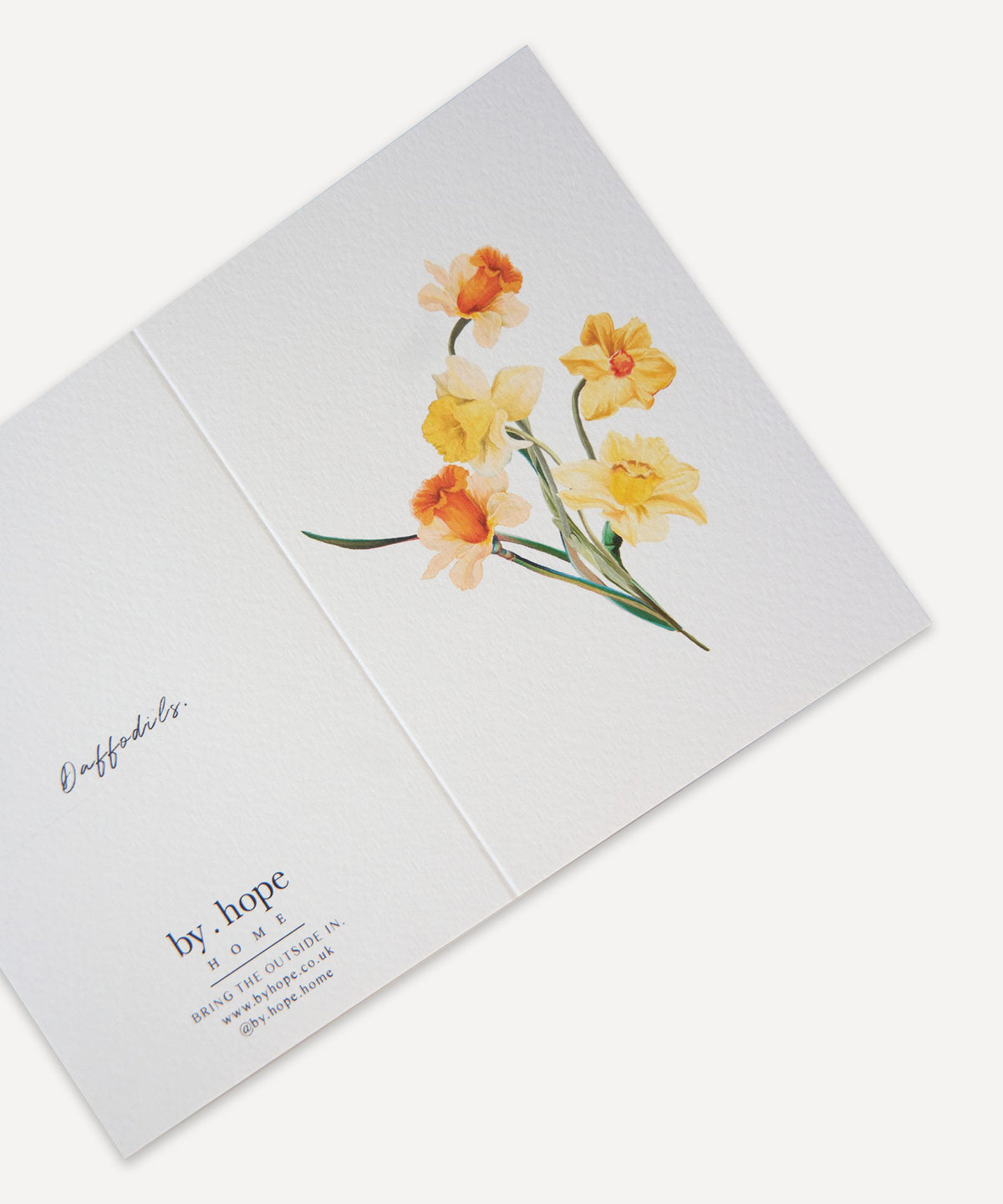 Daffodils Greetings Card