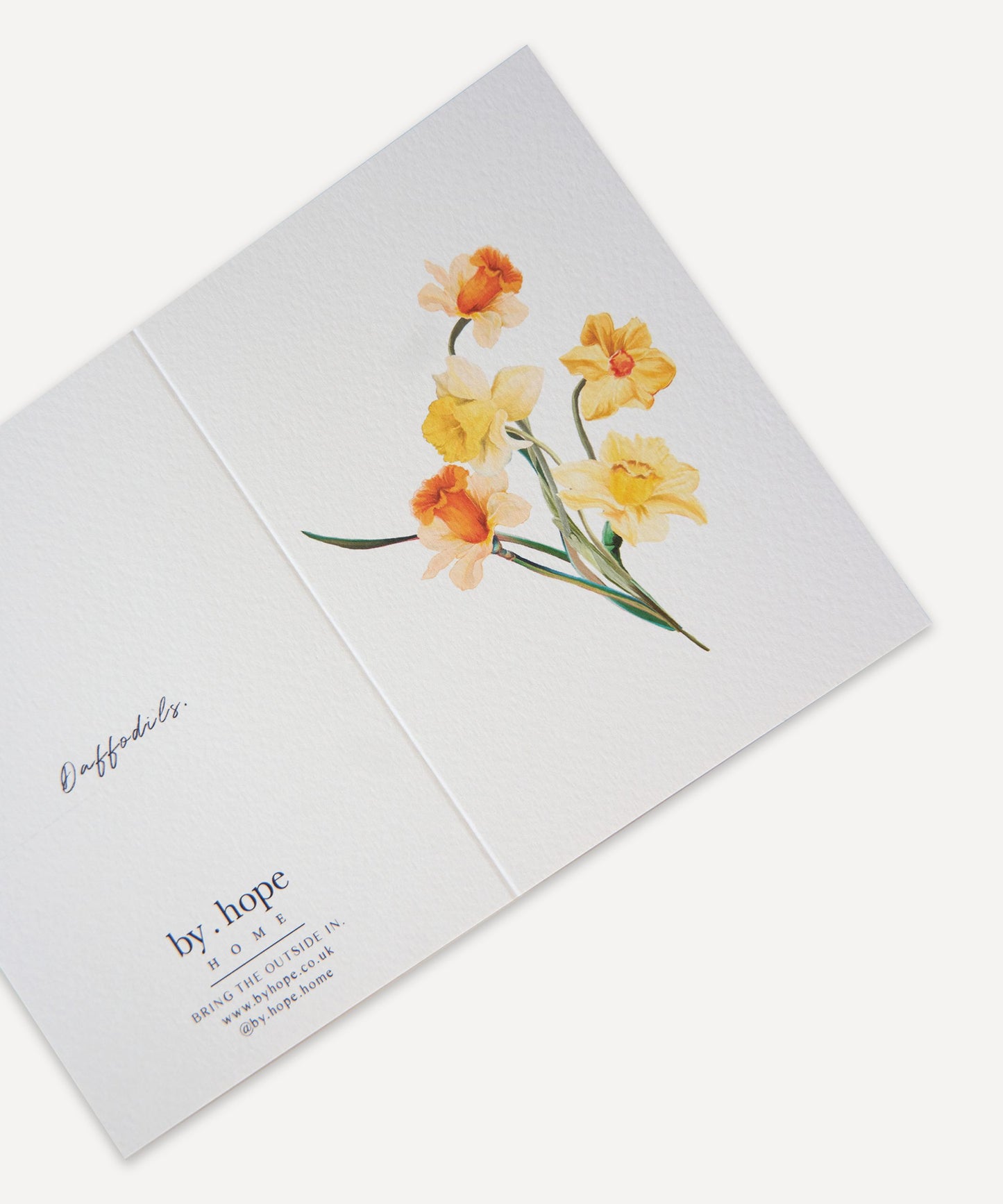Daffodils Greetings Card