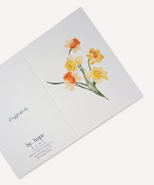 Daffodils Greetings Card