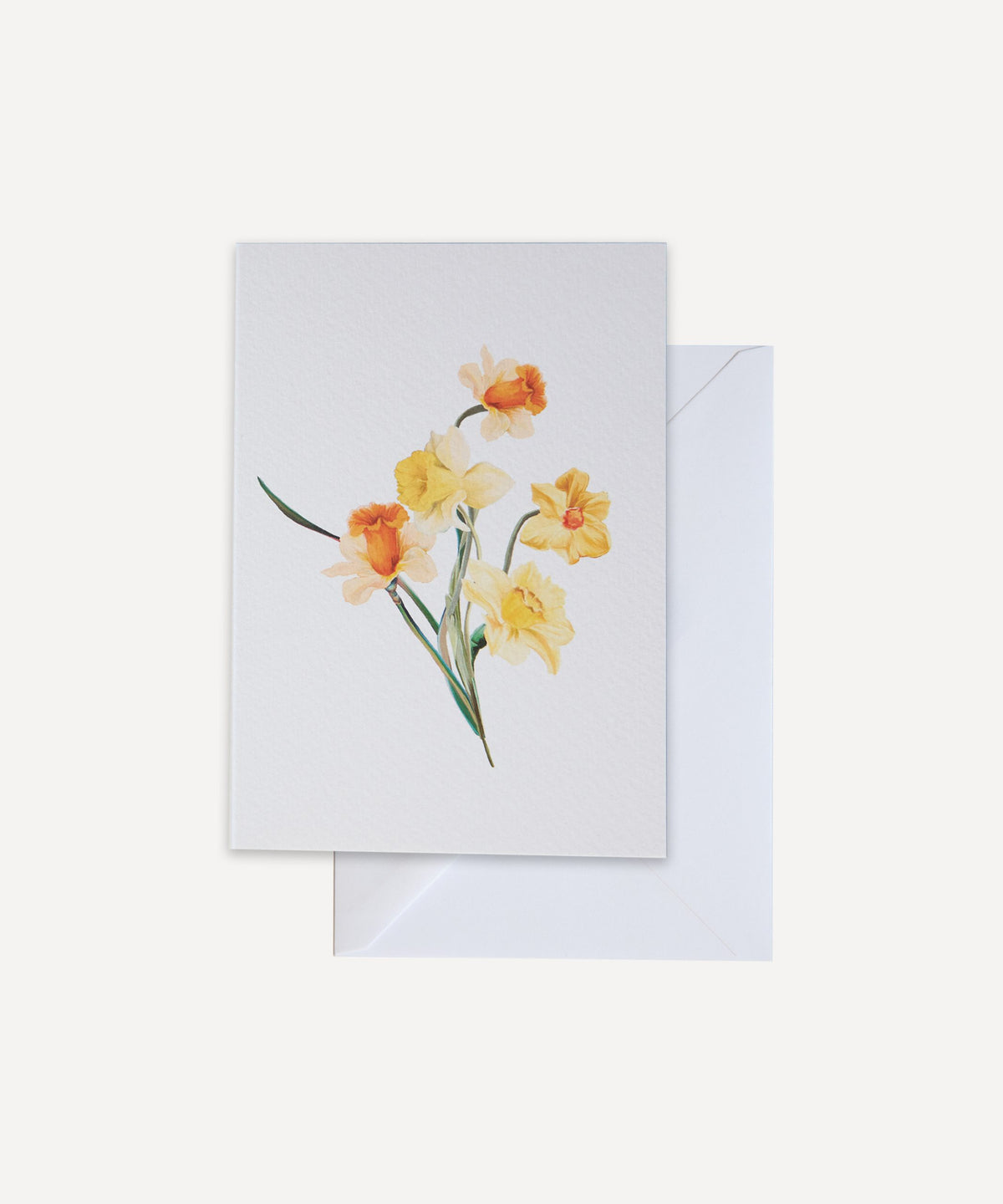 Daffodils Greetings Card