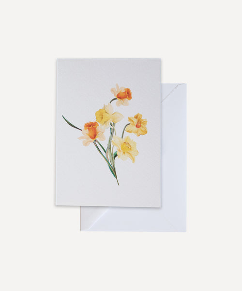 Daffodils Greetings Card