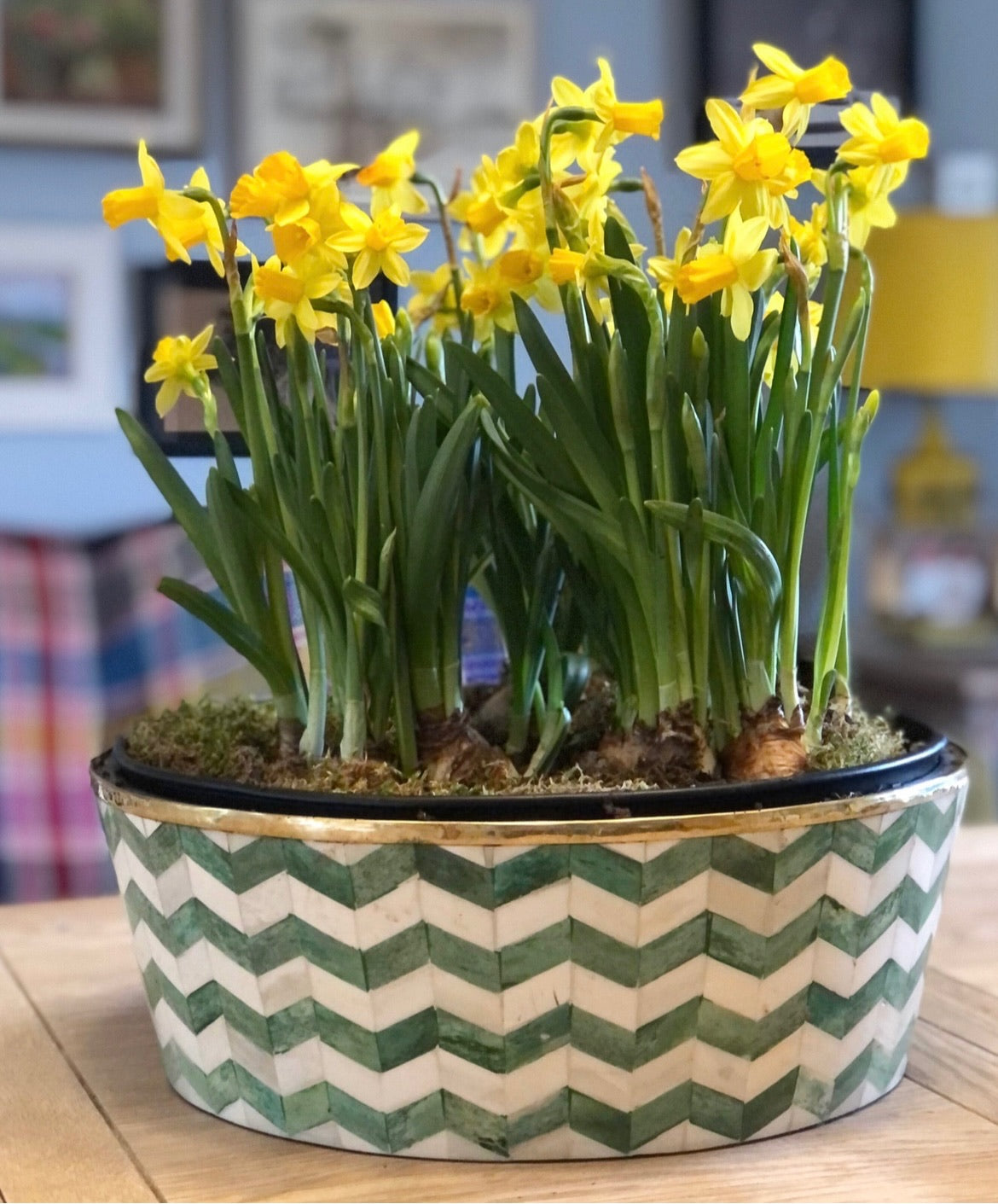 Round Inlay Planter | Large | Green | Chevron