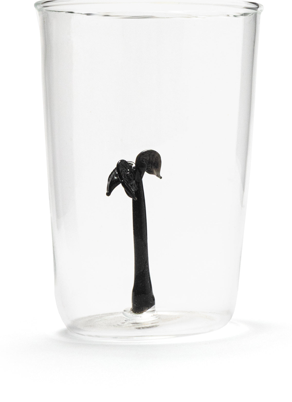 Wax Palm Glasses