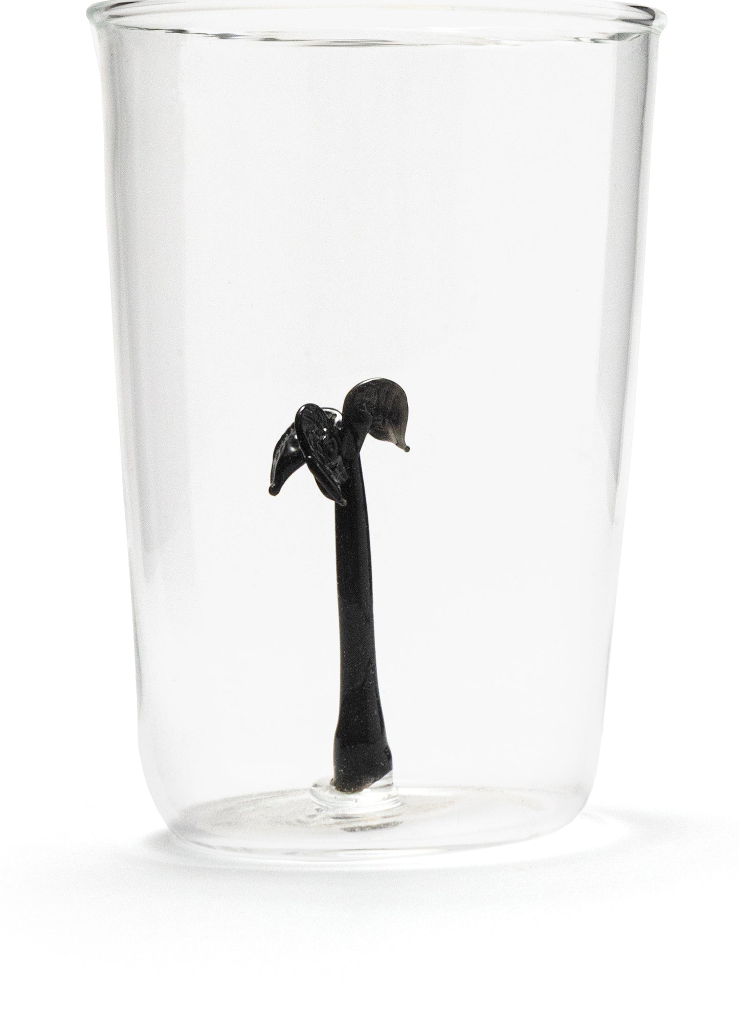 Wax Palm Glasses