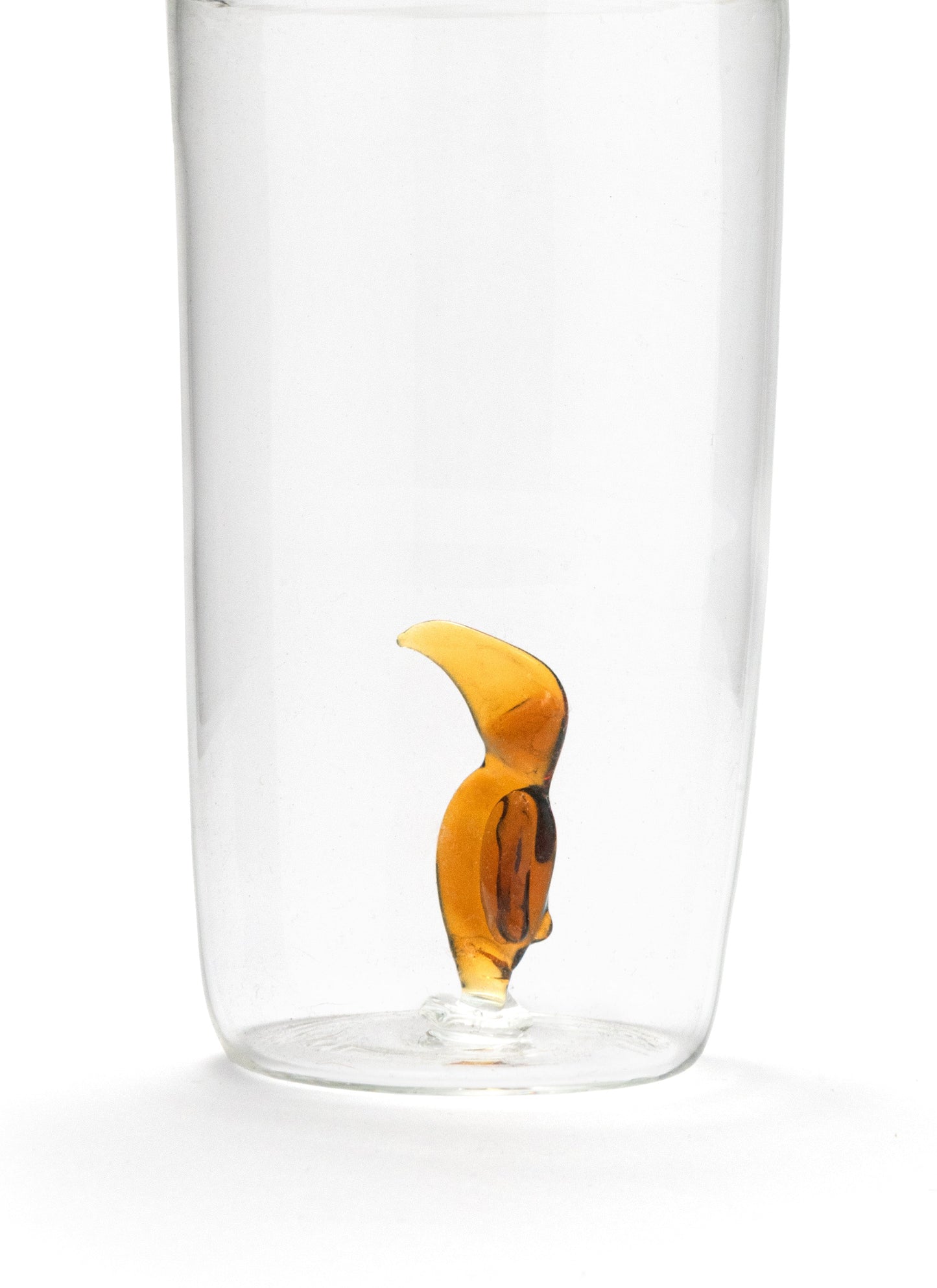 Toucan Glasses