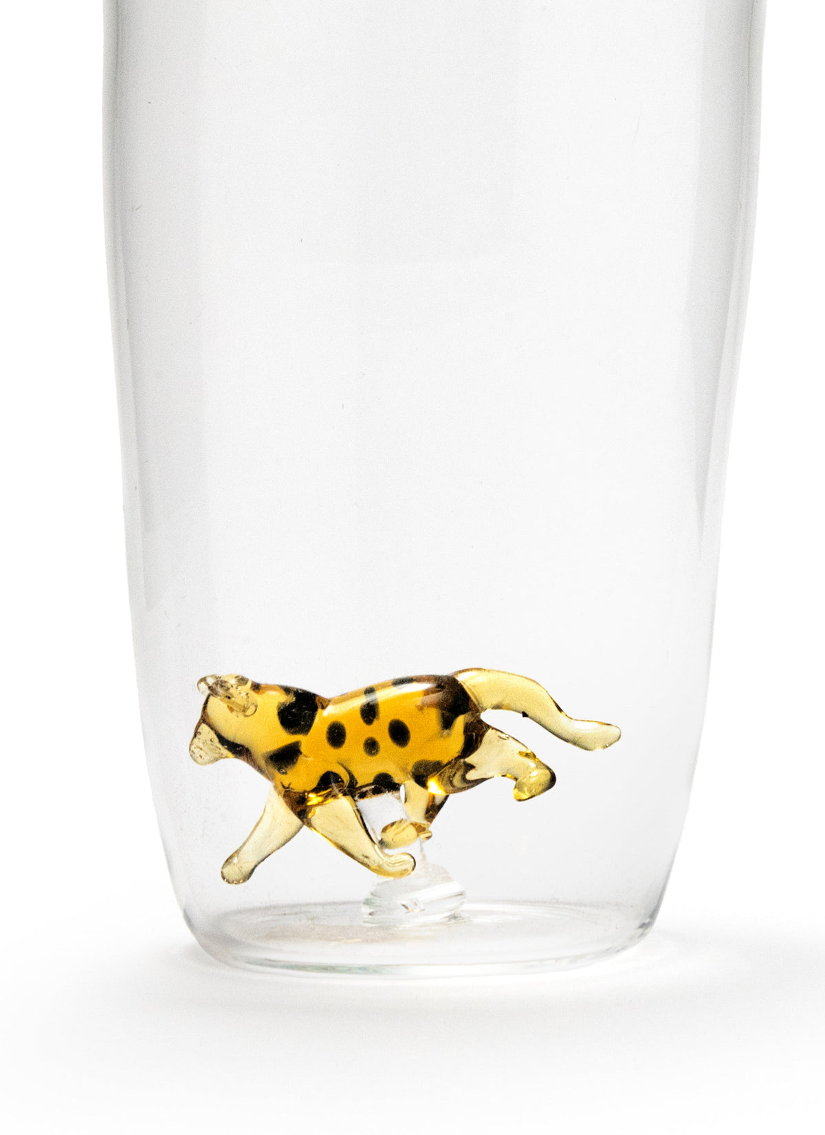 Jaguar Glasses