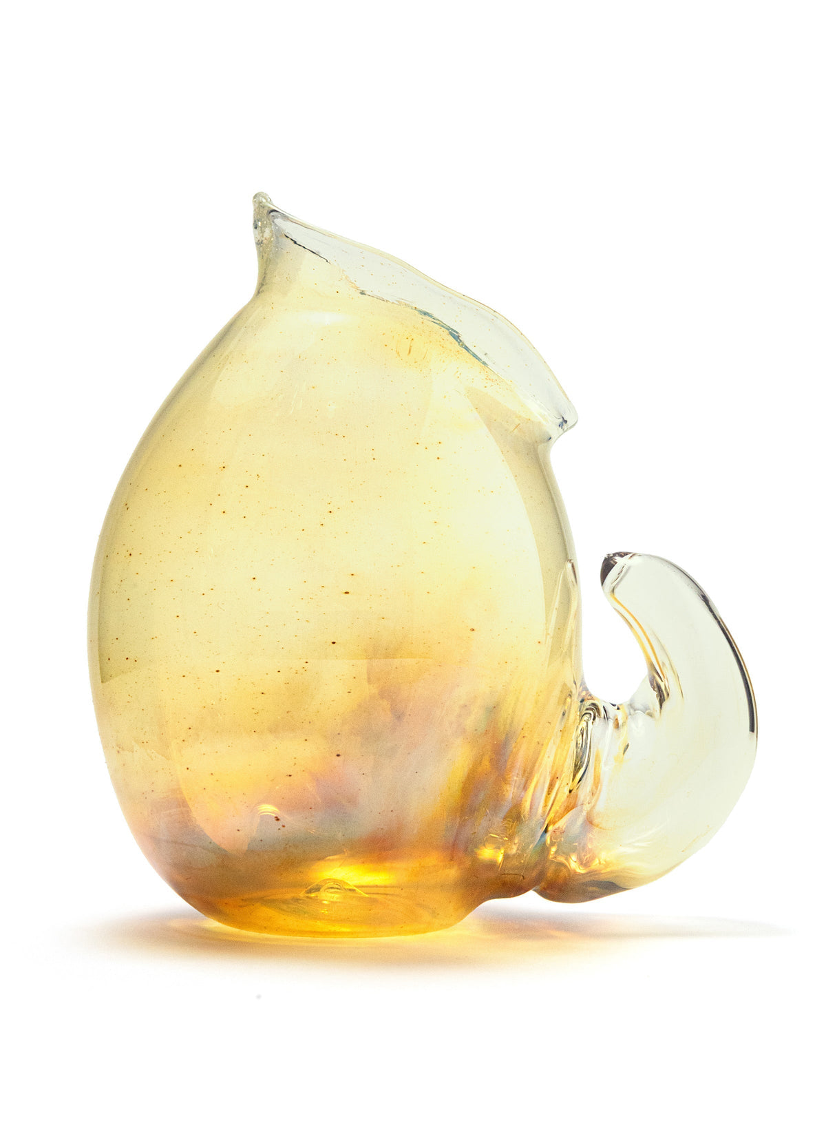 Shell Glasses