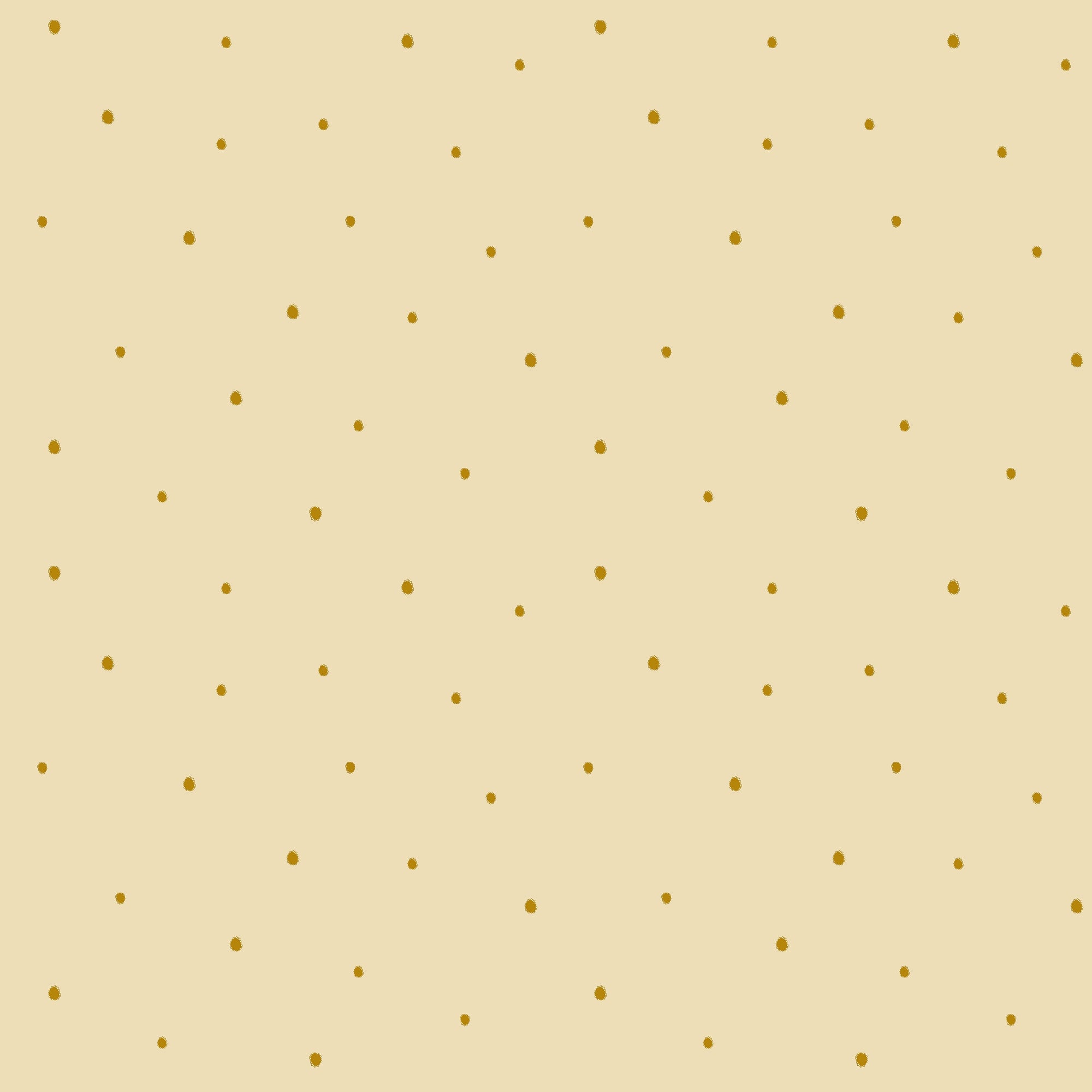 Dolce Daisies Wallpaper, Limoncello, Roll