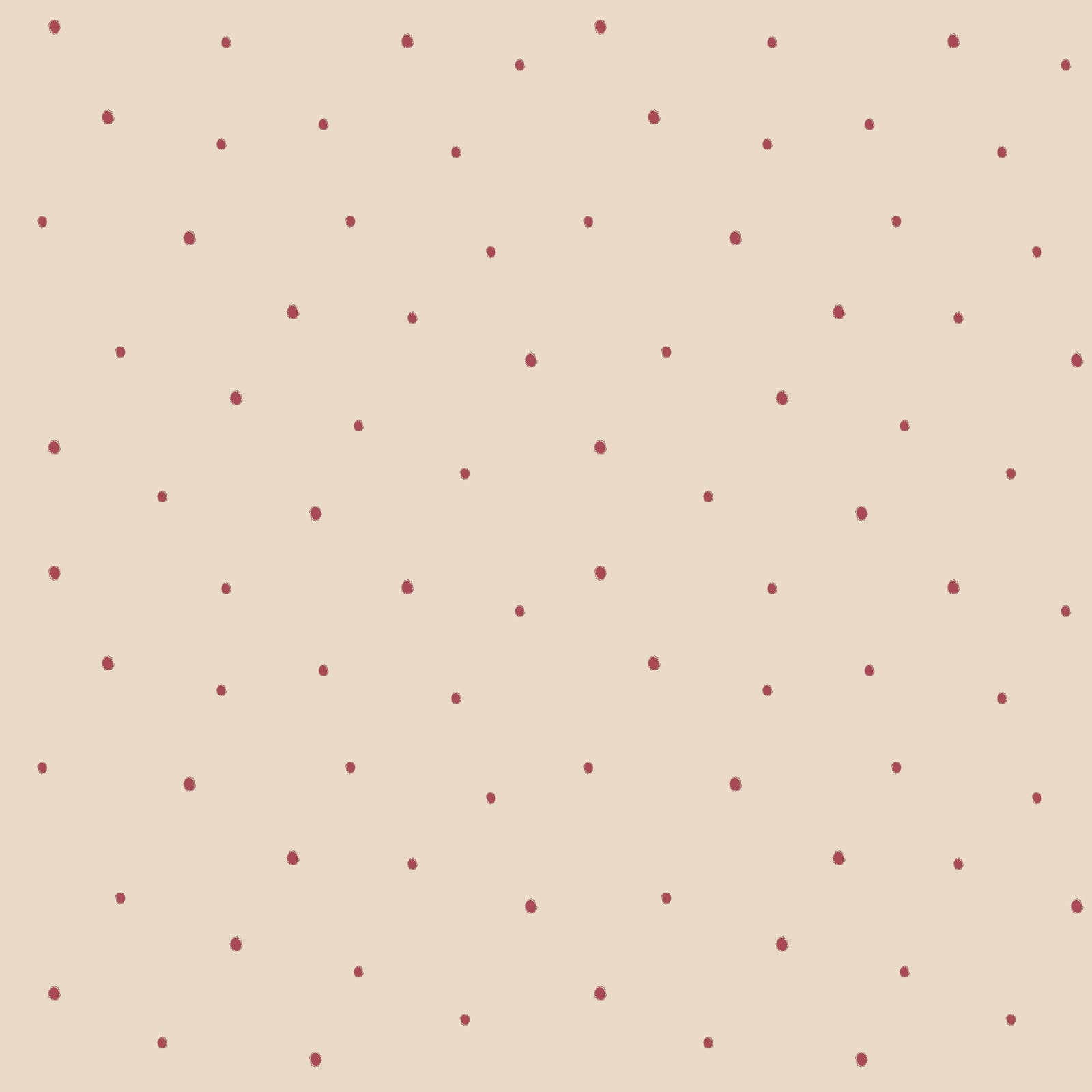 Dolce Daisies Wallpaper, Pavlova, Roll