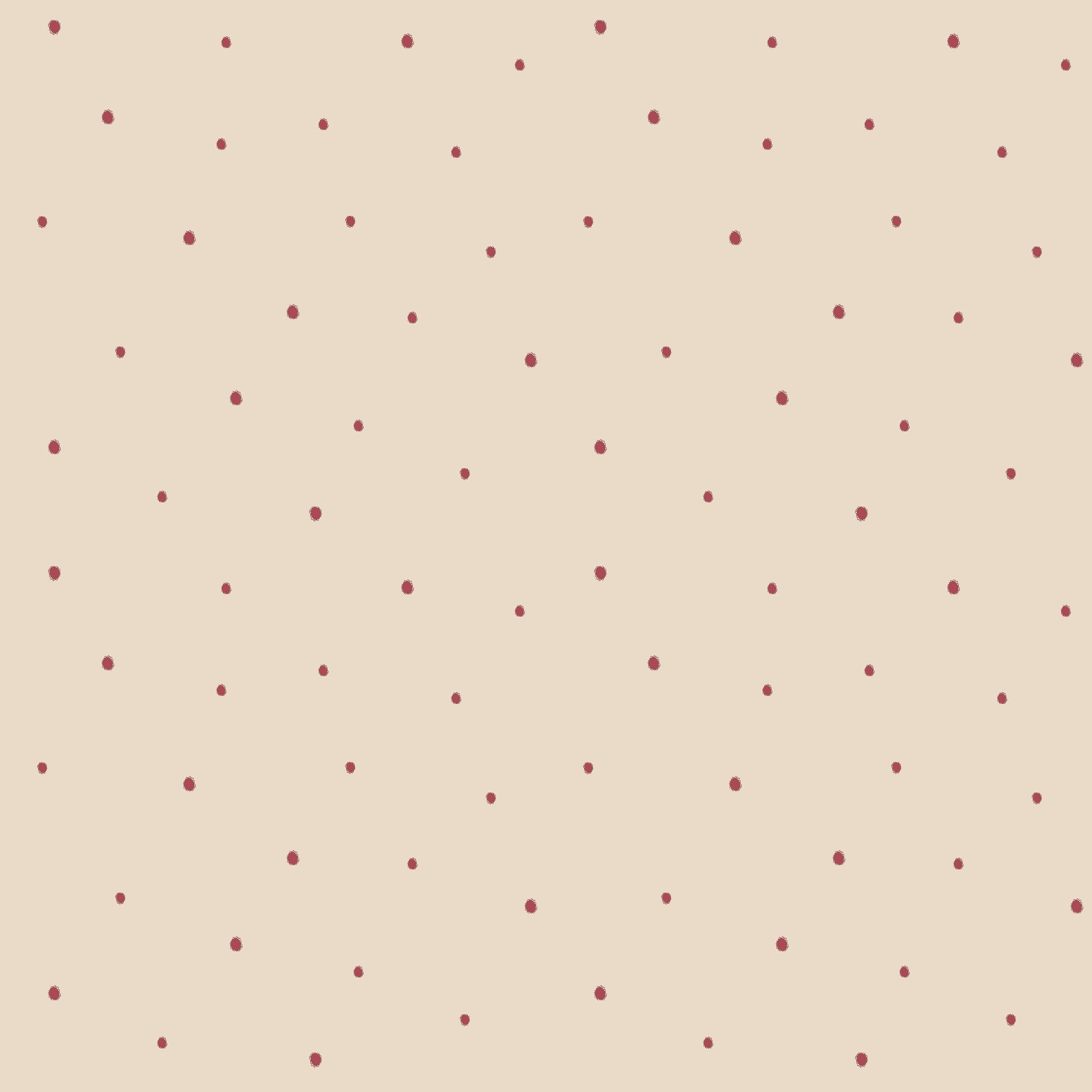 Dolce Daisies Wallpaper, Pavlova, Roll