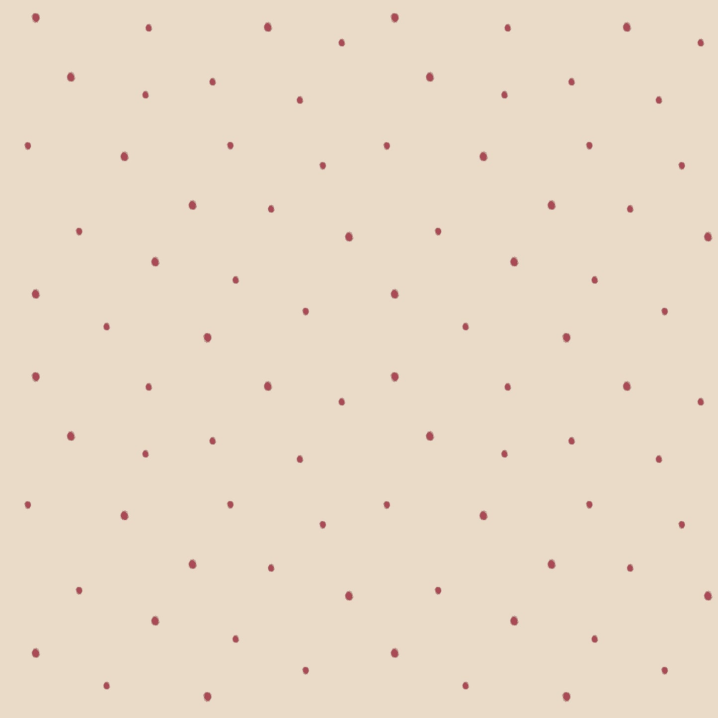 Dolce Daisies Wallpaper, Pavlova, Roll