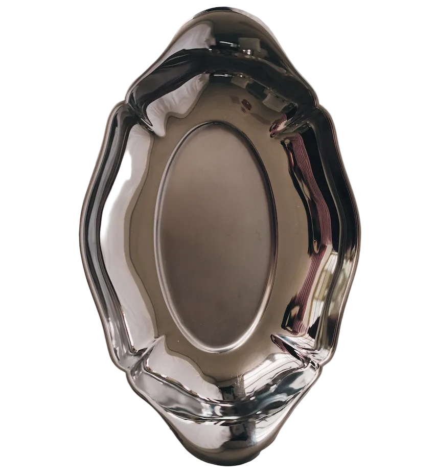 Elegant Stainless Steel Dish