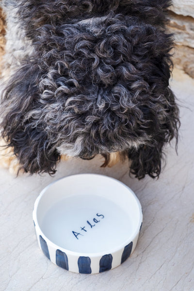 B&W Stripes Pet Bowl