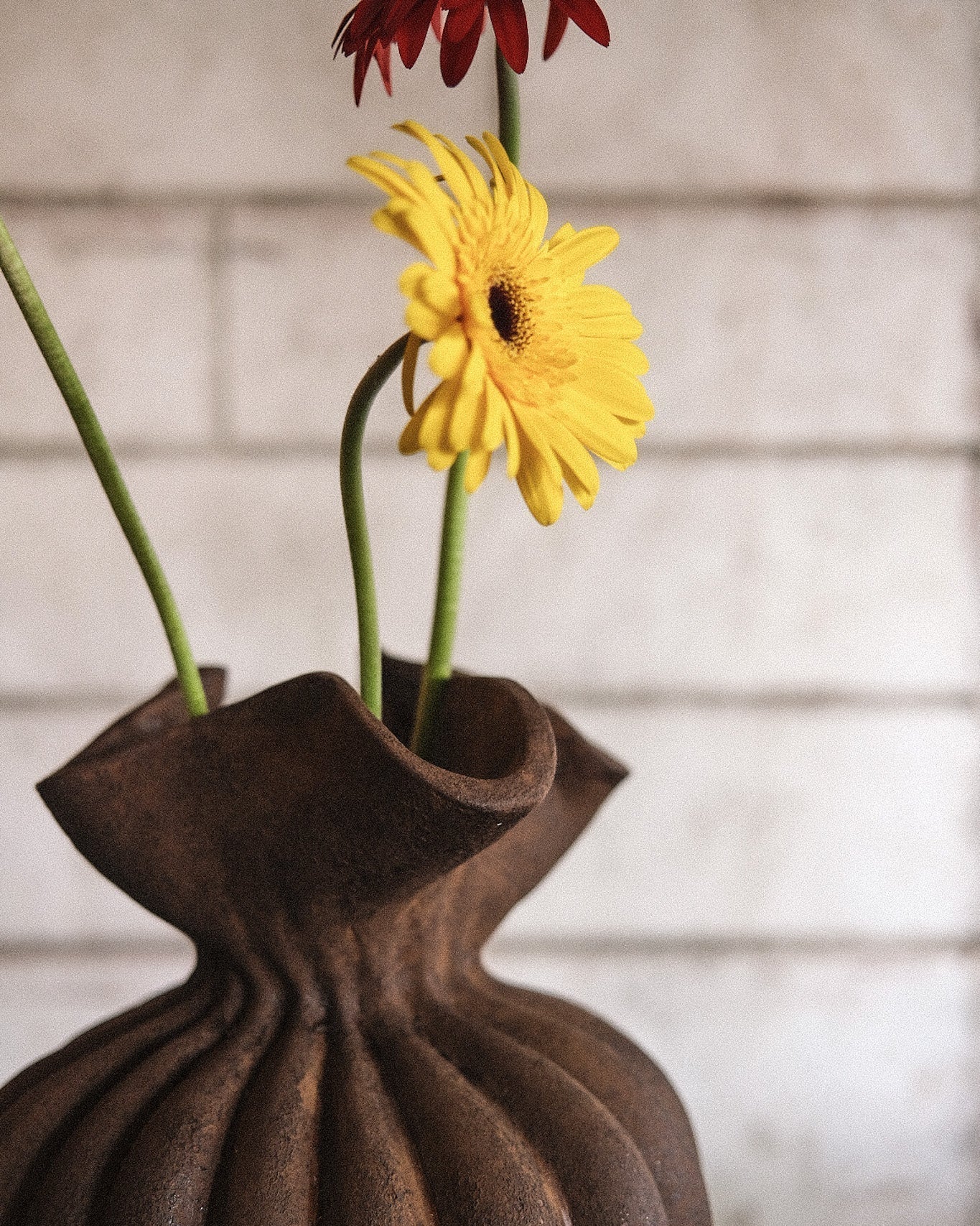 Javi Coco Vessel