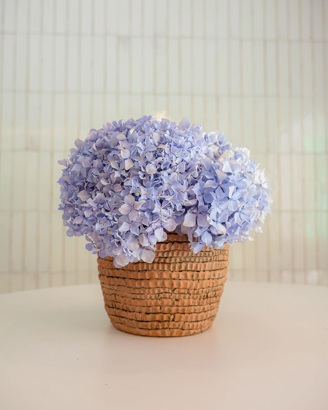 Serenity Terracotta Vase