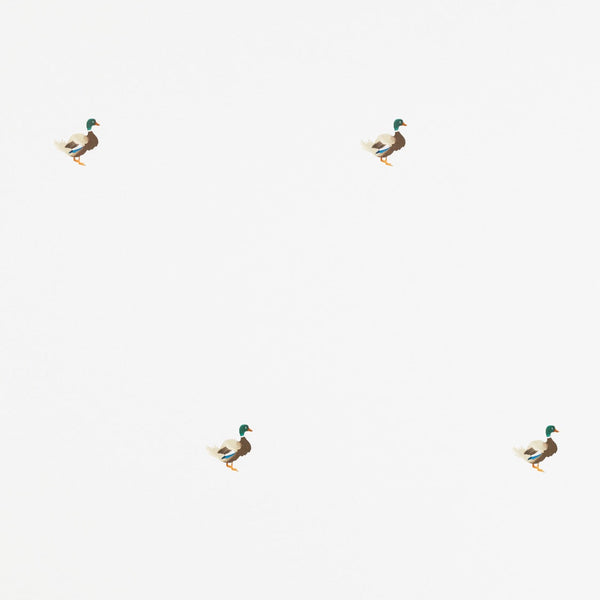 Ducks In A Row Wallpaper – CLASSIC