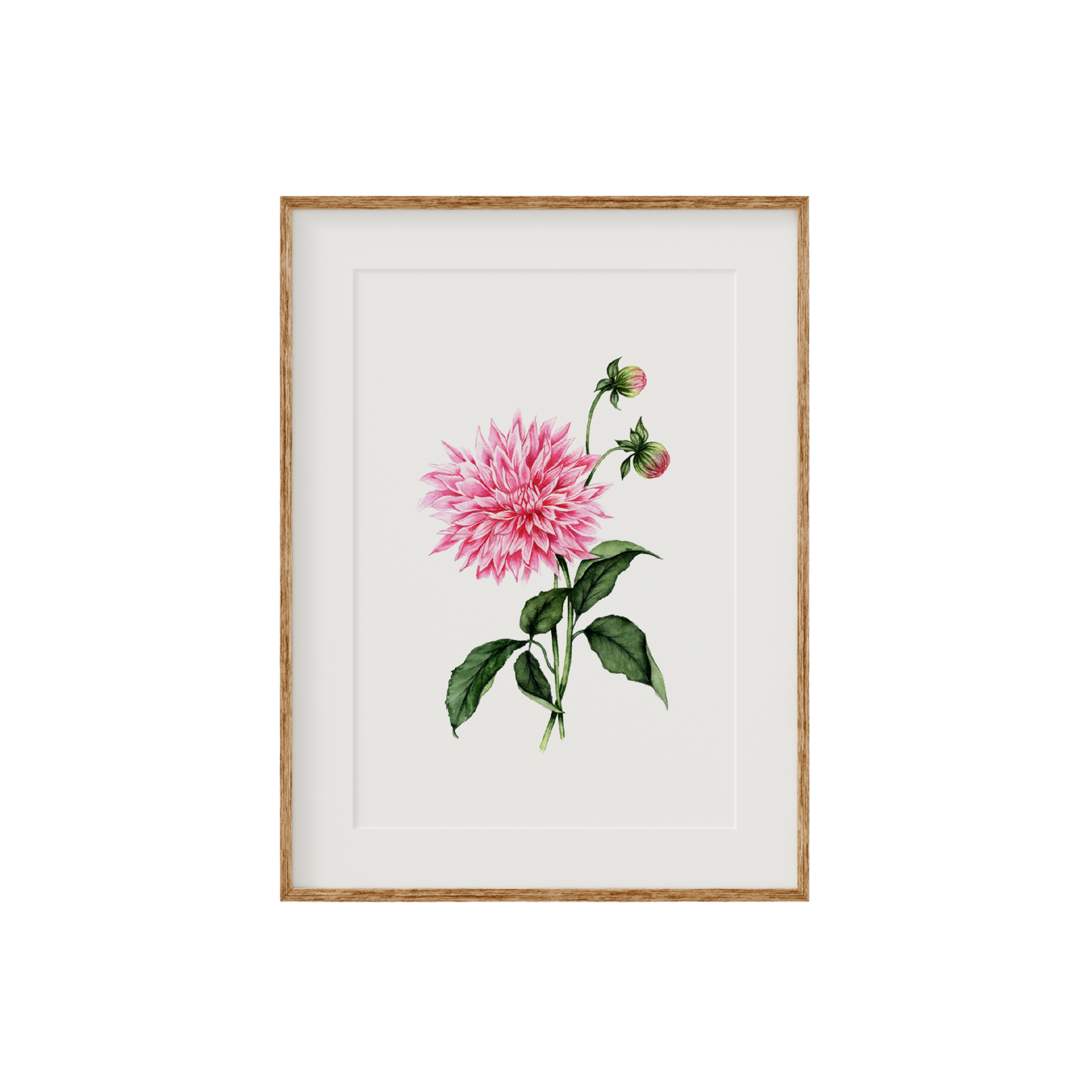 Dahlia Fine Art Print