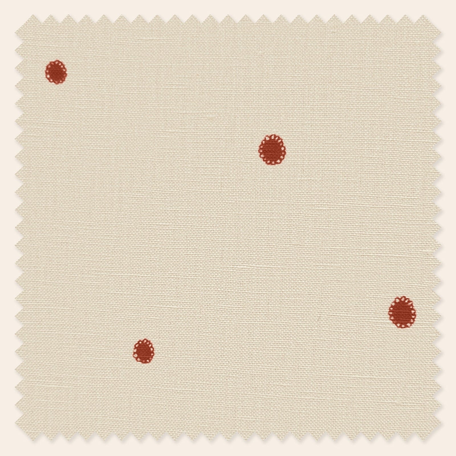 Dolce Daisies, Pavlova, Metre