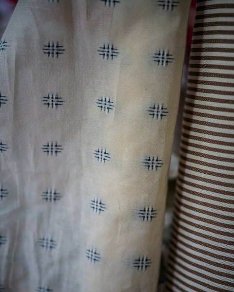 The Embroidered Cotton in Delphinium
