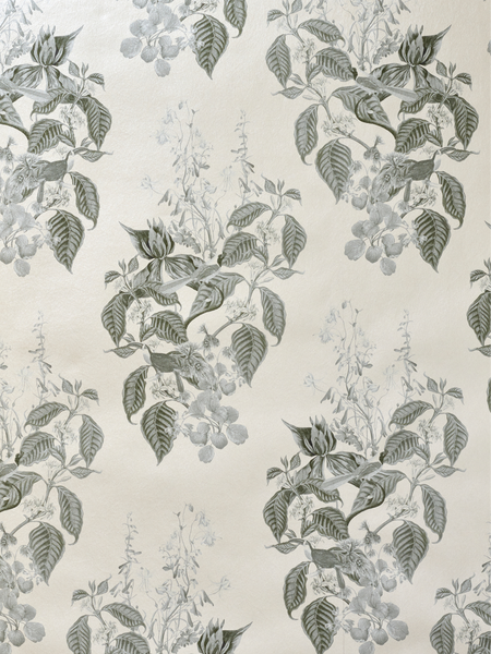 Aviary Isle Wallpaper - French Gray