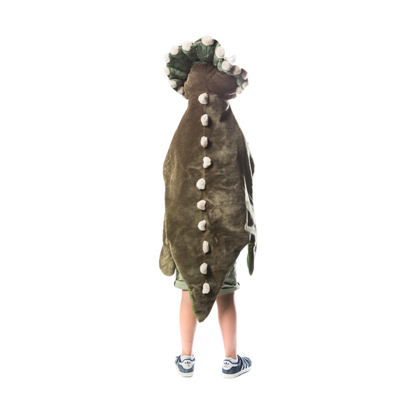 Dinosaure Costume