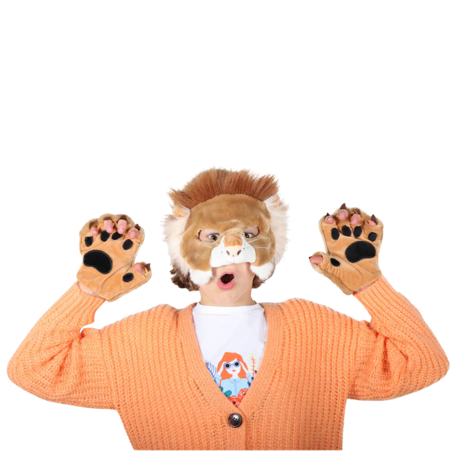 Dress-up Set Lion