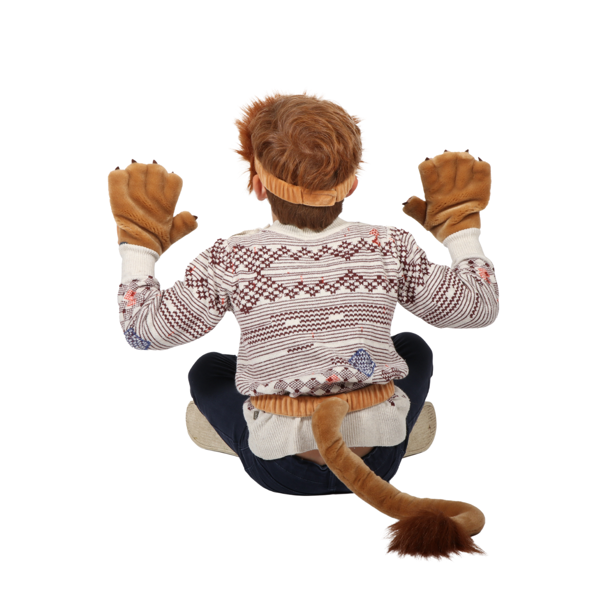 Dress-up Set Lion