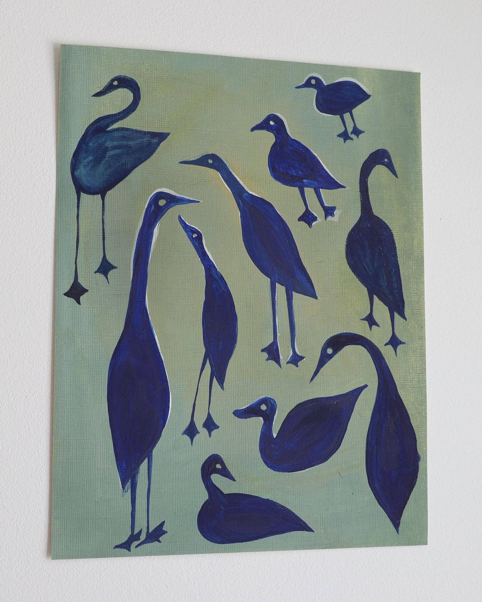 Blue Ducks