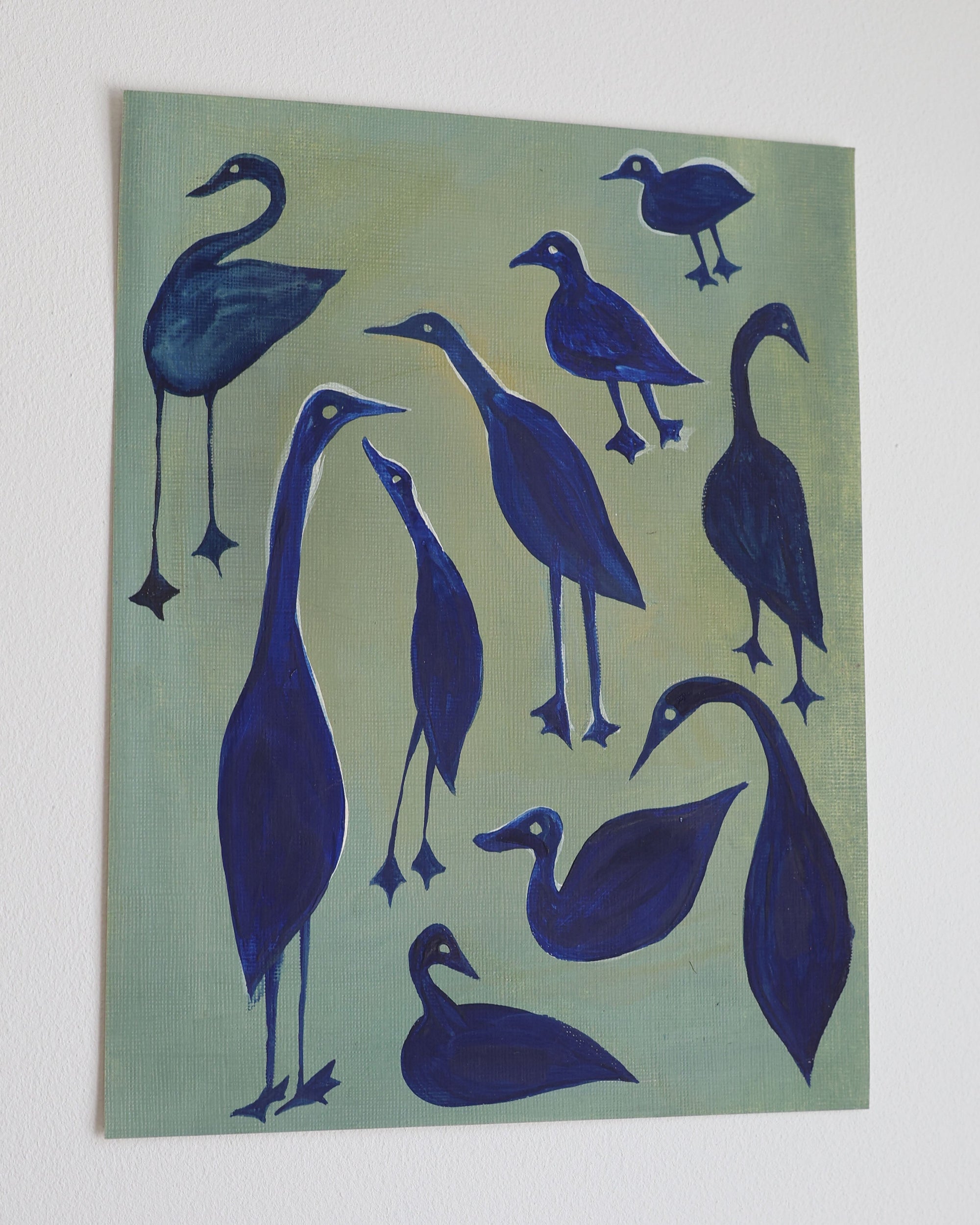 Blue Ducks